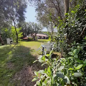 L'ulivo Alloggio per agriturismo